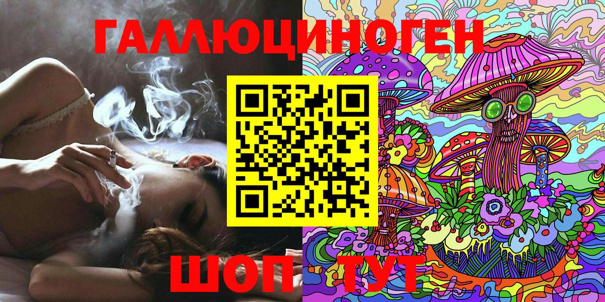 Галлюциногенные грибы Magic Shrooms  Псилоцибиновые грибы ЛСД  Вход с VPN  где купить наркотик  Новочебоксарск 